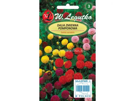 ЛГ ДАЛИЯ ПОМПОН Dahlia variabilis Pompon tall mixture  