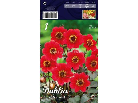 Далия (Dahlia) Top-Mix Red (ниска)