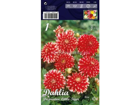 Далия (Dahlia) Decorative Little Tiger (ниска)