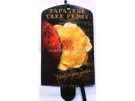 Дървовиден божур (Peony tree) Highnoon Geel - жълт