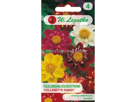 СЕМЕНА ДАЛИЯ ДЕНДИ МИКС Dahlia variabilis collarette dwarfCollarette Dandy mixture -  ЛГ 