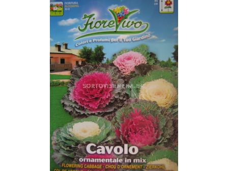 Семена Декоративно зеле  - sortovisemena.bg Семена Декоративно зеле