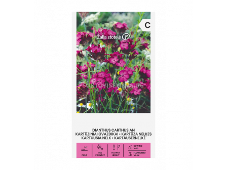 Карамфил картезиански DIANTHUS CARTHUSIAN - 'SK - 0.5г