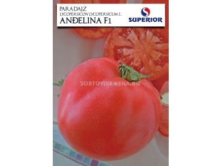 Семена Домати Анджелина F1 (Джинка) - Tomato Angelina F1