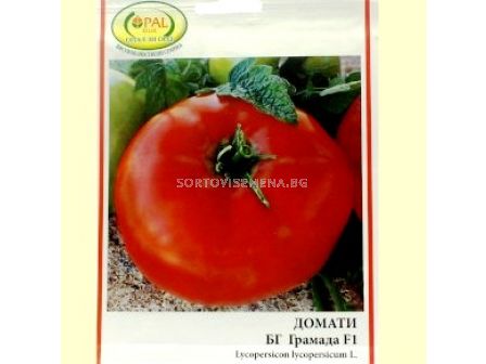 Семена Домати БГ Грамада F1 - Tomato BG Gramada F1