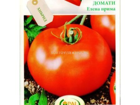 Семена Домати Елена F1 