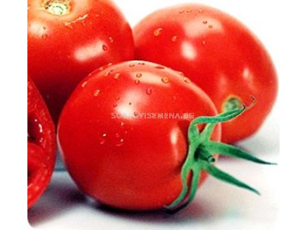 Семена Домати Гео 12 - Tomato Geo 12
