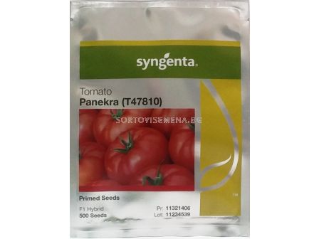 Семена домати Панекра F1 - tomato Panekra F1