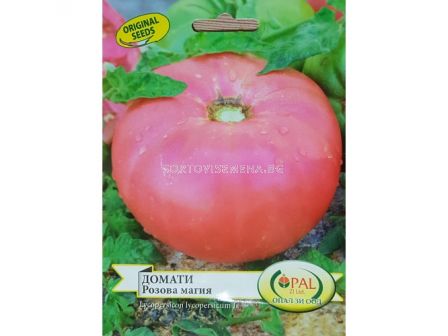 Семена Домати Розова Магия