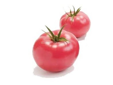 Семена домати Пинк сън (Pink sun) TY-1103 