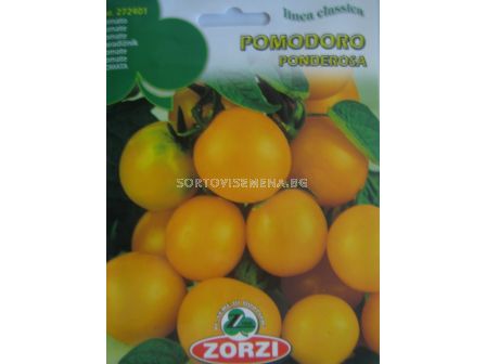 Семена домати Жълто чери (Yellow cherry) - Zorzi