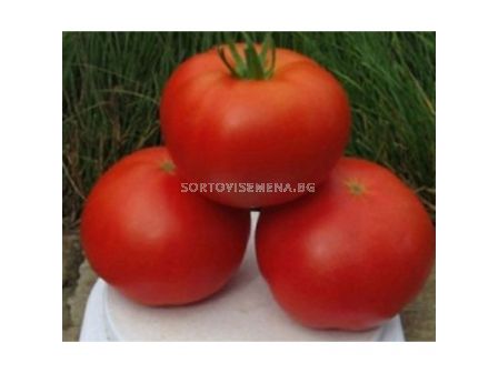 Семена Домати Картиер /  Kartier F1 - 1000 сем