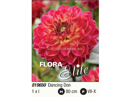 Далия декоративна Armateras/ Dahlia decorative - 1 бр.