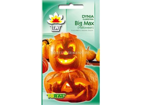 ТИКВА БИГ МАКС - Dynia Big Max - 4 г - sortovisemena.bg ТИКВА БИГ МАКС - Dynia Big Max - 4 г