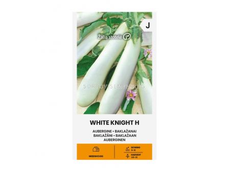 СК СЕМЕНА ПАТЛАДЖАН БЯЛ РИЦАР / EGGPLANT, WHITE KNIGHT H SK