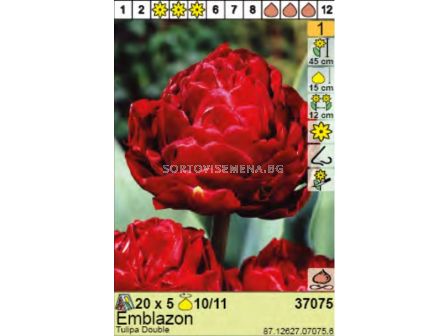 Лале Emblazon - Пакет: 1 оп. - 5 бр.