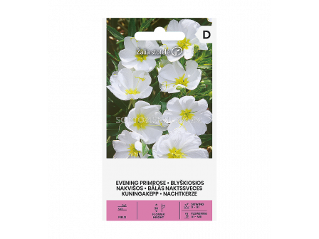 СК СЕМЕНА ВЕЧЕРНА ИГЛИКА  БЯЛА  PRIMROSE, PALE EVENING WHITE  