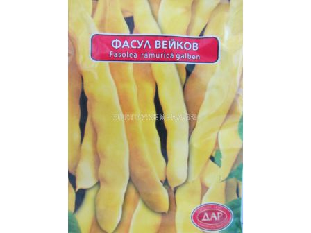 Сорт фасул Чудото на Венеция-жълт. Аграра ООД. Сортови семена Варна.