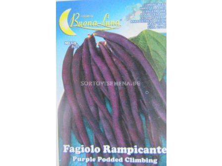 Семена фасул Пурпурна шушулка - увивен - beans Purple pod - climbing