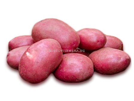 картофи Романтика 5 кг