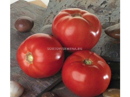 Семена домати Амапола Sakata -250 сем