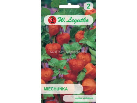 СЕМЕНА ФИЗАЛИС Physalis alkekengi var. franchetii orange - ЛГ
