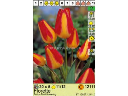 Лале Florette - Пакет: 1 оп. - 5 бр. 