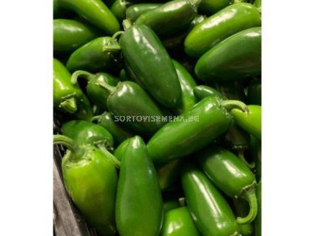 Семена лют пипер Халапеньо - 20 семена