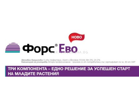 Форс Ево 10 кг