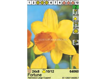 Нарцис/ Narcissus Fortune - Пакет: 1 оп. - 8 бр.  - 2