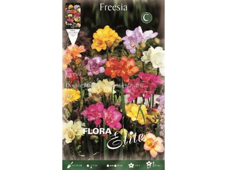 Фрезии (Freesia) Кичести (10 луковици)