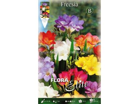 Фрезии (Freesia) микс 10 бр.