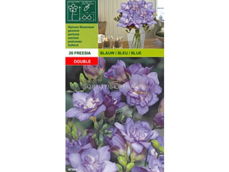 Фрезии Кичести - сини - 20 бр