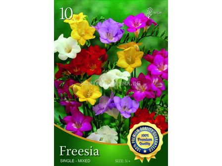 Фрезии Обикновени Микс - Freesia Mix