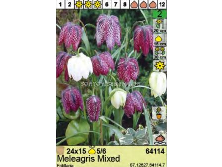 Фритилария микс/ Fritillaria Meleagris Mixed - 1 бр.