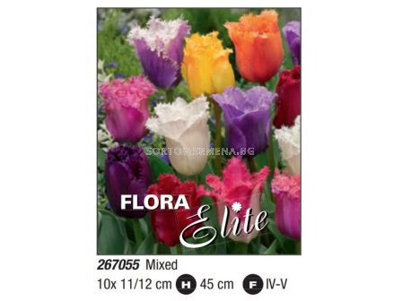 Лалета микс/ Tulipa fringed mixed - Пакет: 1 оп. - 10 бр.