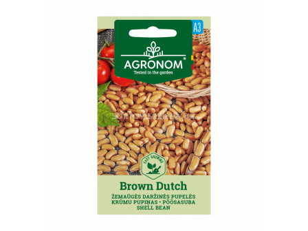СК СЕМЕНА ФАСУЛ НИСЪК BROWN DUTCH - 8 г - sortovisemena.bg СК СЕМЕНА ФАСУЛ НИСЪК BROWN DUTCH - 8 г