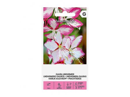 СК  СЕМЕНА ГАУРА GAURA LINDHEIMERI rose white