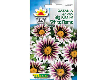 Семена Газания - блестяща Голяма целувка