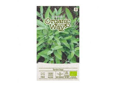 СЕМЕНА САЛВИЯ ОРГАНИК OW - СК 