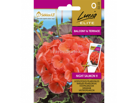 СК СЕМЕНА МУШКАТО НАЙТ САЛМЪН Х GERANIUM NIGHT SALMON H  