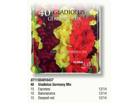 Гладиоли Germany Mix в pizza box - 1 кутия - 40 бр. луковици - 1