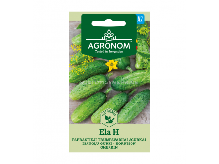 СК КОРНИШОНИ ЕЛА Х CUCUMBER, ELA H