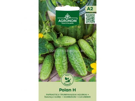 СК СЕМЕНА КОРНИШОНИ ПОЛАН Х CUCUMBER, POLAN H SK