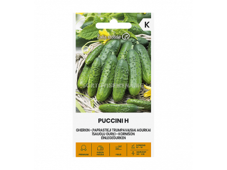 СК СЕМЕНА КОРНИШОНИ PUCCINI H  - 0,5 г - 1