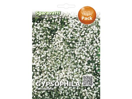 Семена Гипсофила Елеганс (бяла)`SG - Gypsophila Elegance (white)`SG