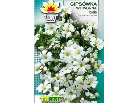 Семена Гипсофила бяла TF-0.5 гр
