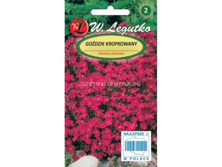 ЛГ КАРАМФИЛ ЧЕРВЕН Dianthus deltoides carmine-red  