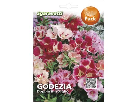 Семена Годеция кичеста`SG