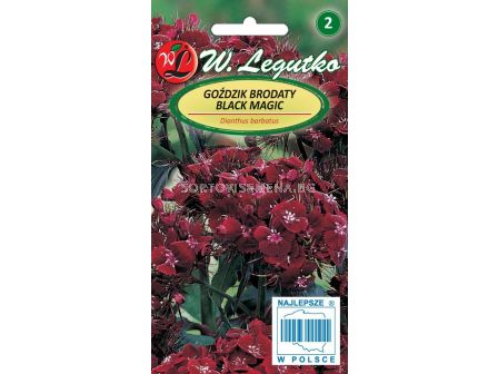 Семена Топ карамфил черен / Dianthus Black Magic /LG 1 оп 